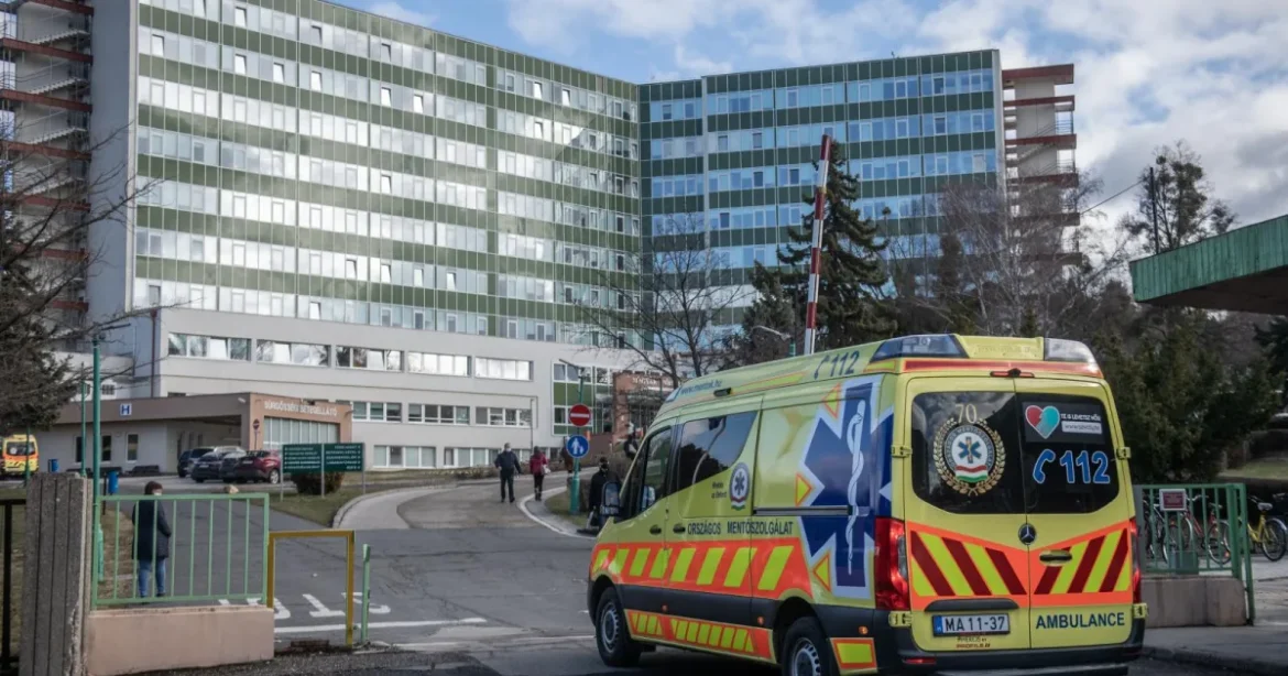 A túlélés gyakran csupán a vakszerencsén múlik