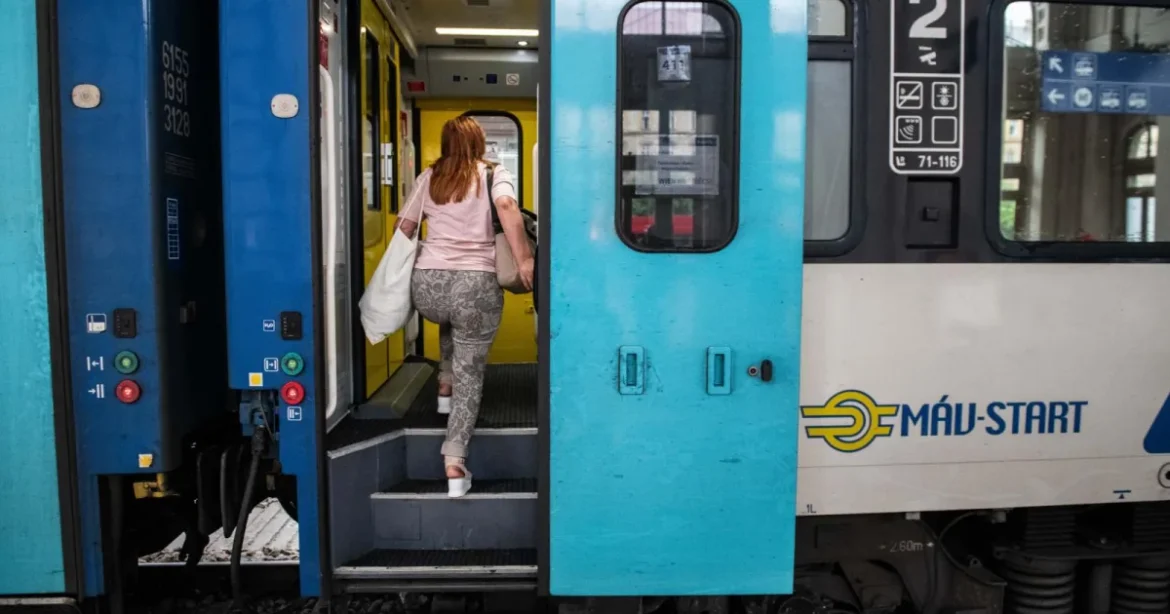 Késnek a vonatok a ceglédi vonalon egy felsővezetékre dőlt fa miatt