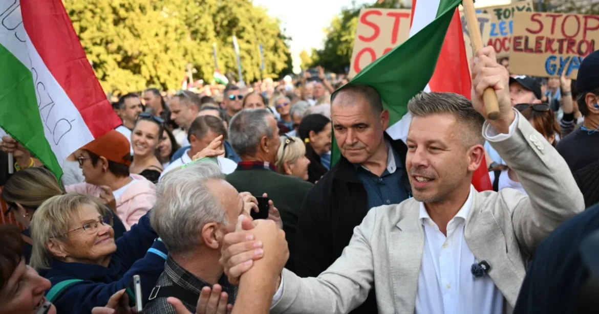 Kihallgatta, majd szabadon engedte a Magyar Péter felé tojást dobó férfit a rendőrség