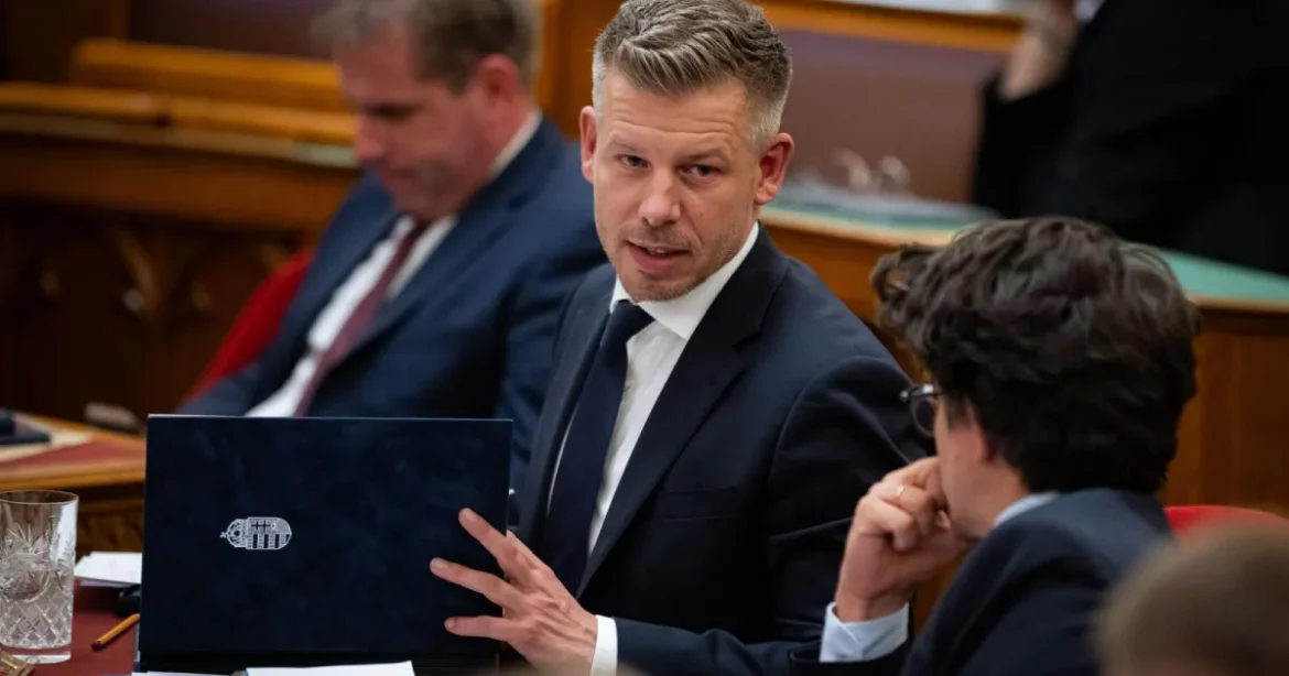 Magyar Péter kezdeményezte a Tisza-frakciónál Kaprinyák Tibor ügyének megvitatását